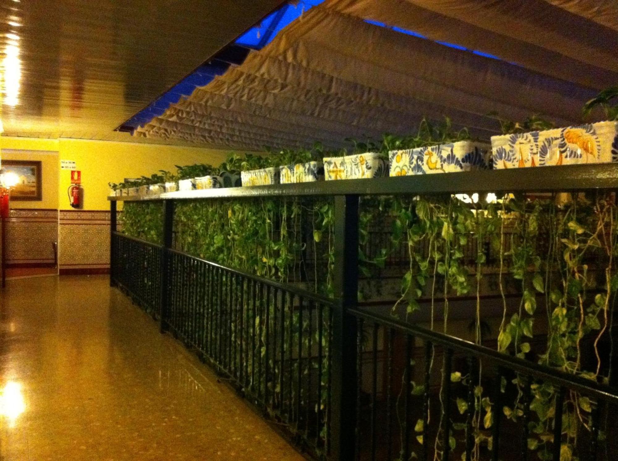 Hotel Sandra Alcala de Guadaira Luaran gambar